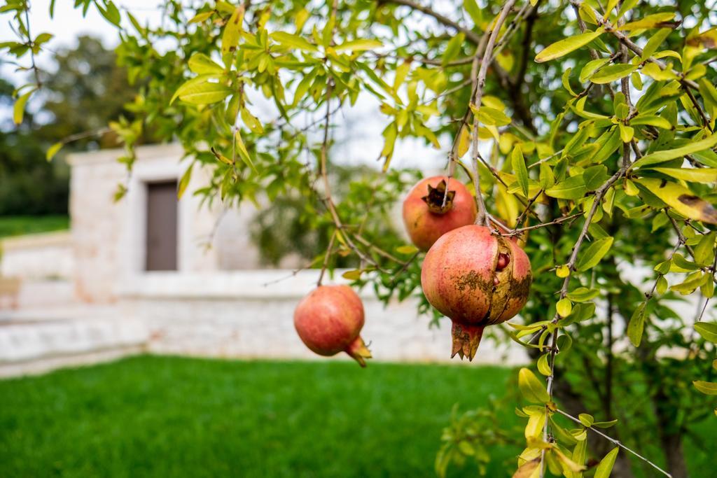 Vila Masseria Paretano Alberobello Exteriér fotografie